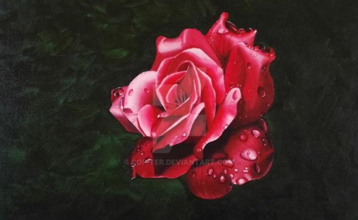 Art Post Of The Week: Delicate Rose